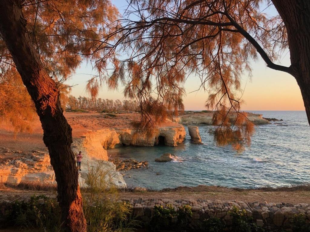 Cozy Apartment In Paphos Beautiful Complex ภายนอก รูปภาพ